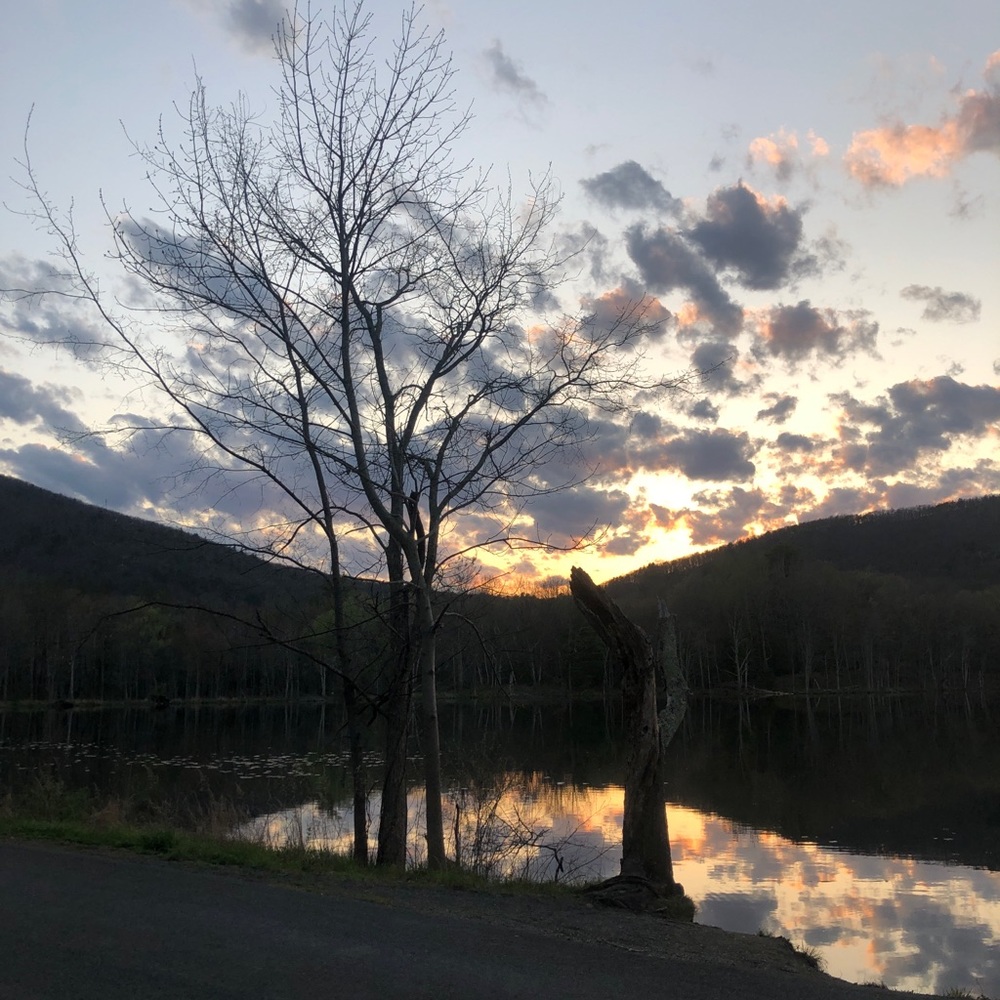 Meet your Posher, Shannon